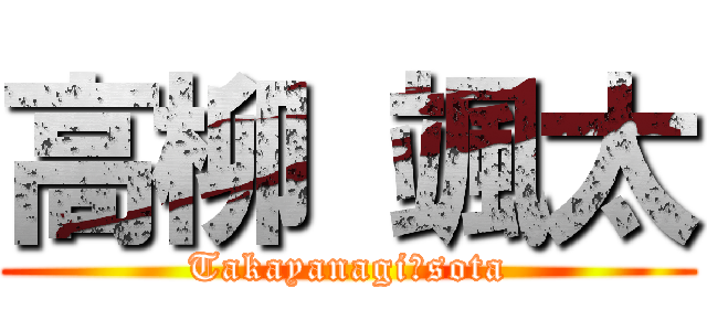 高柳 颯太 (Takayanagi　sota)