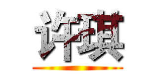 许琪 ()
