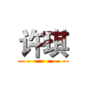 许琪 ()
