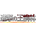 進撃の王桐林 (attack on wangtonglin)