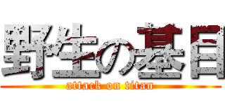 野生の基目 (attack on titan)