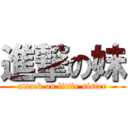 進撃の妹 (attack on little sister)