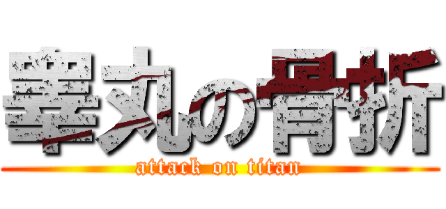 睾丸の骨折 (attack on titan)