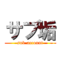 サブ垢 (sub-account)