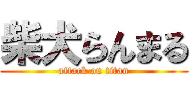 柴犬らんまる (attack on titan)