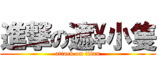 進撃の遮\\小隻 (attack on titan)