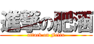 進撃の肥涵 (attack on Felix)