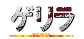 ゲリラ (ランチいかが？)