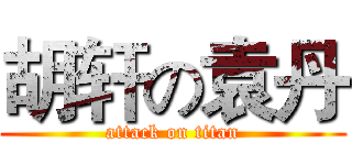 胡轩の袁丹 (attack on titan)