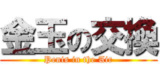 金玉の交換 (Penis in the Air)