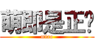 萌即是正义 (miao)