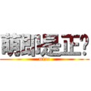 萌即是正义 (miao)