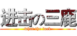 进击の三鹿 (what the fuck)