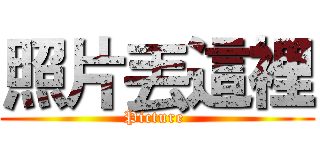 照片丟這裡 (Picture )