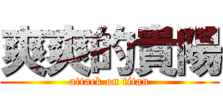 爽爽的貴陽 (attack on titan)