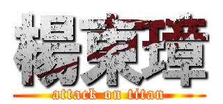 楊東璋 (attack on titan)