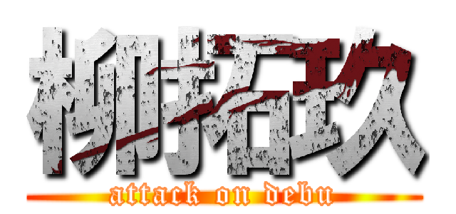 柳拓玖 (attack on debu)