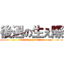 後退の生え際 (receding hairline)