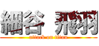 細谷 飛羽 (attack on titan)