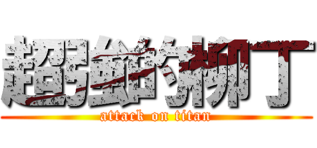 超強的柳丁 (attack on titan)