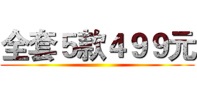 全套５款４９９元 ()