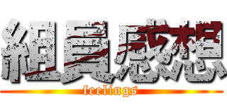 組員感想 (feelings)