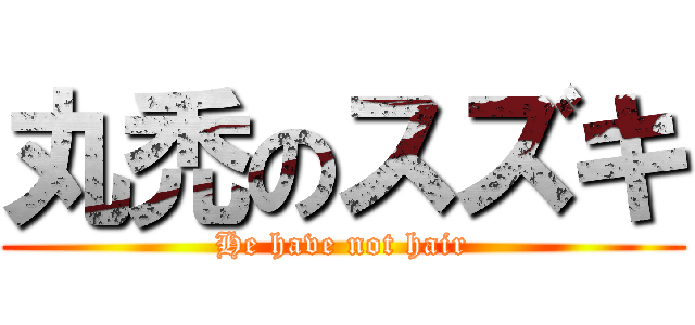丸禿のスズキ (He have not hair)