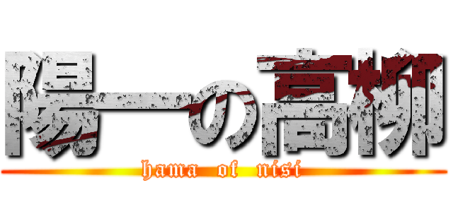 陽一の高柳 (hama  of  nisi)