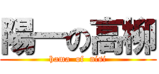 陽一の高柳 (hama  of  nisi)