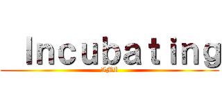 Ｉｎｃｕｂａｔｉｎｇ (IMI)