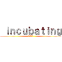  Ｉｎｃｕｂａｔｉｎｇ (IMI)