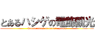 とあるハシゲの電飾観光 (Counterattack of osaka'n people)