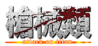 槍械類 (attack on titan)