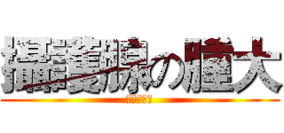 攝護腺の腫大 (真の好大！)