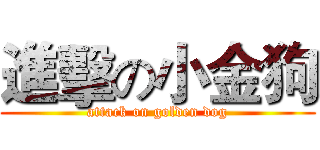 進擊の小金狗 (attack on golden dog)
