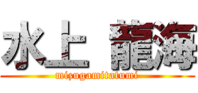 水上 龍海 (mizugamitatumi)