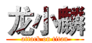 龙小麟 (attack on titan)