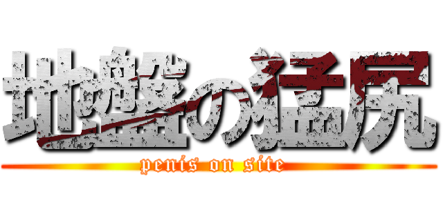 地盤の猛尻 (penis on site )