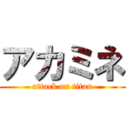 アカミネ (attack on titan)