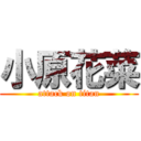 小原花菜 (attack on titan)