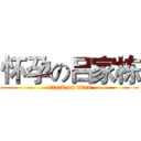 怀孕の吕家栋 (attack on titan)