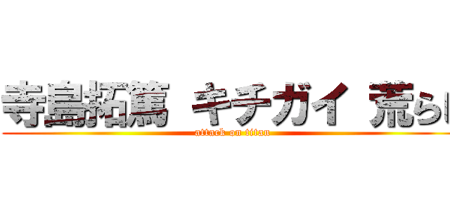 寺島拓篤 キチガイ 荒らし (attack on titan)