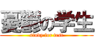 憂鬱の学生 (study for test)