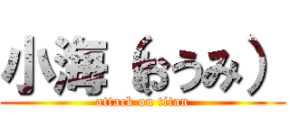 小海（おうみ） (attack on titan)