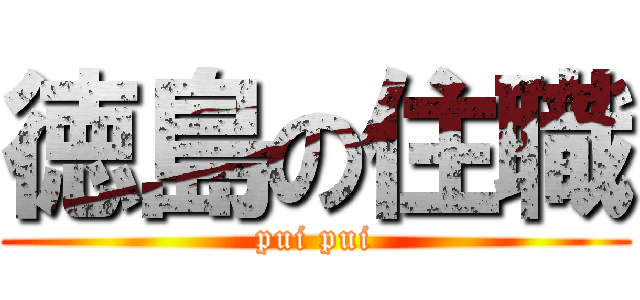 徳島の住職 (pui pui)