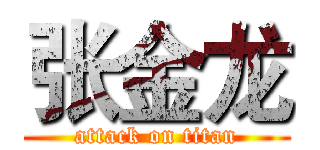 张金龙 (attack on titan)