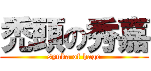 禿頭の秀嘉 (syuka of hage)