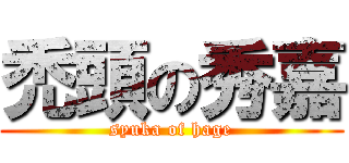 禿頭の秀嘉 (syuka of hage)