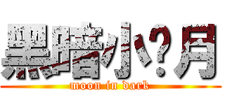 黑暗小闪月 (moon in dark)