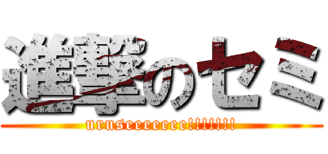 進撃のセミ (uruseeeeeee!!!!!!!)